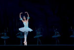 ballet-ballerina-performance-don-quixote-46158
